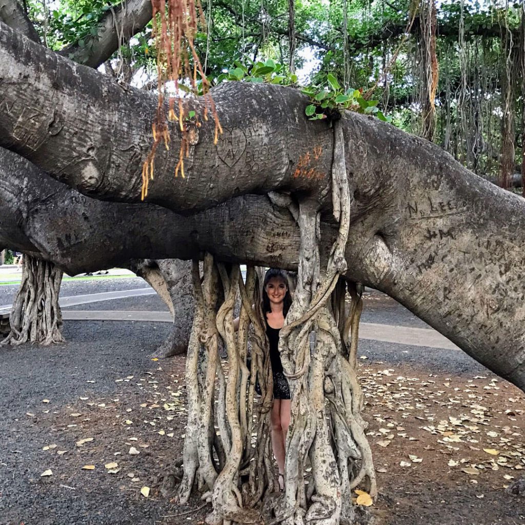 Maui Old Lahaina Town Danielle in Tree