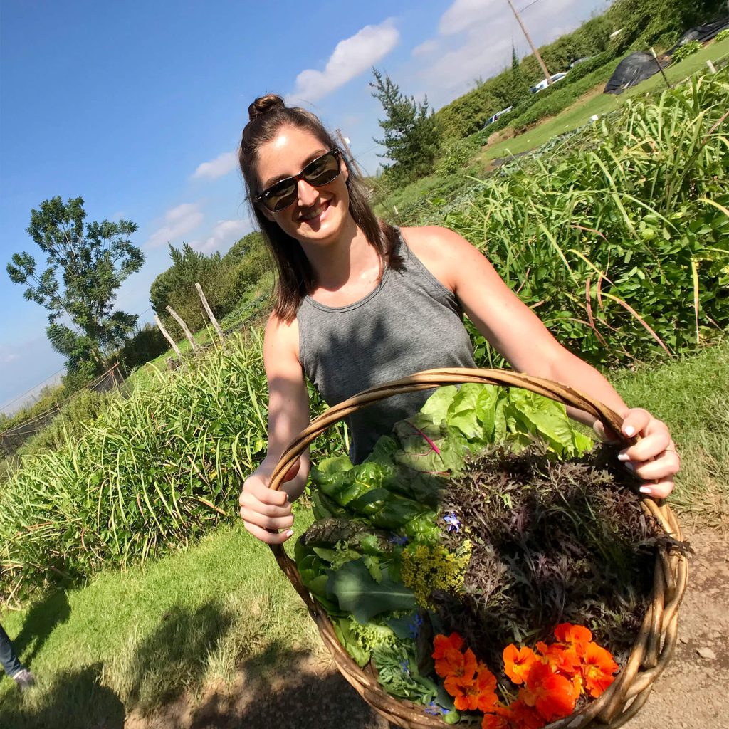 Maui OO Farm Basket